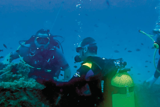 COSTA PALANCIA - photo 7