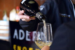 ADERNATS VINICOLA DE NULLES