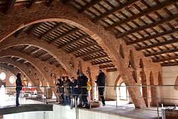 ADERNATS VINICOLA DE NULLES