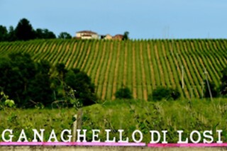Visita guidata alla cantina con degustazione e bottiglia in omaggio all'Azienda Agricola Ganaghello in provincia di Piacenza