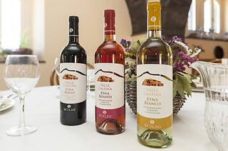Soggiorno enogastronomico di una notte con visita alla cantina presso Agriturismo Valle Galfina in provincia di Catania