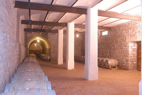 BODEGA MARQUES DE MONTECIERZO - photo 6