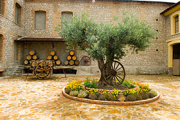 BODEGA MARQUES DE MONTECIERZO