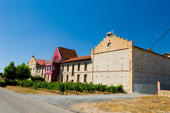 BODEGA MARQUES DE MONTECIERZO - photo 9
