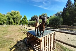 Le Paddock du Val de Lys