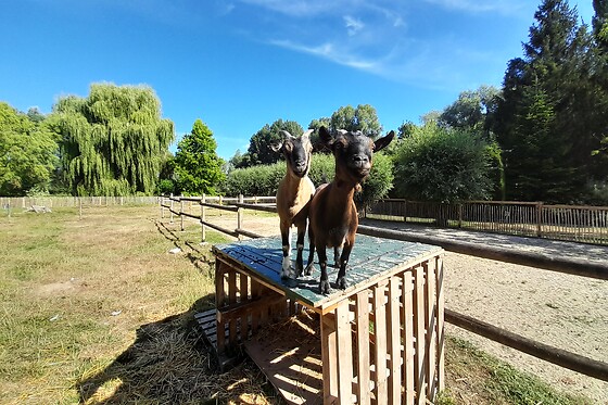 Le Paddock du Val de Lys - photo 12