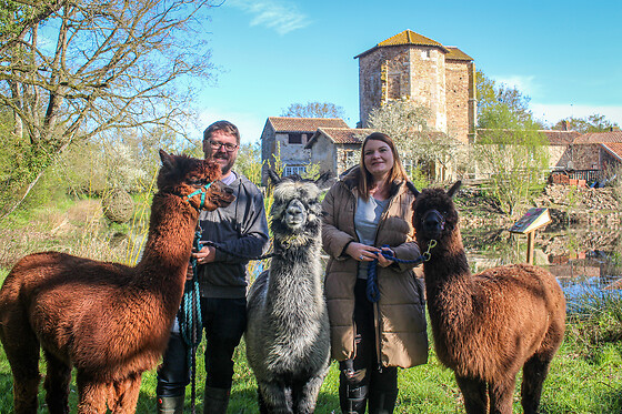 La Petite Ferme d'Alpagas Sanzay - photo 1