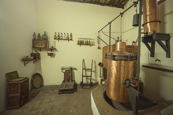 AGUARDIENTES CERVATO - photo 0