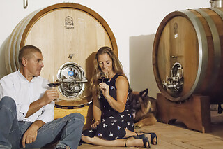 Degustazione di vini con tagliere di prodotti locali presso l'Azienda Agricola La Vigne in provincia di Trento