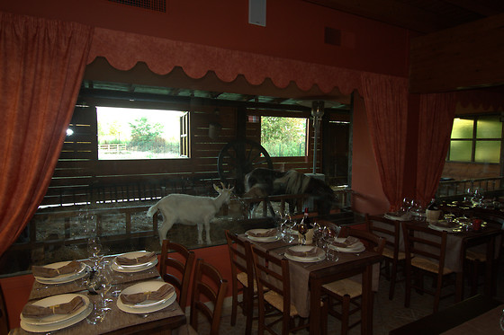Tenuta del Vecchio Mulino - photo 5