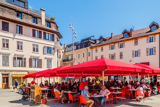 Brasserie Le Flore - photo 0