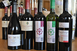 BODEGA DOMINIO DE MAESTRAZGO