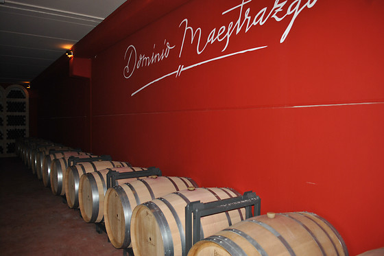 BODEGA DOMINIO DE MAESTRAZGO - photo 8