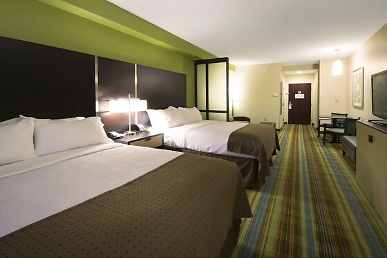 Online Booking EPS - photo 0