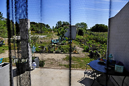 La terre brulée