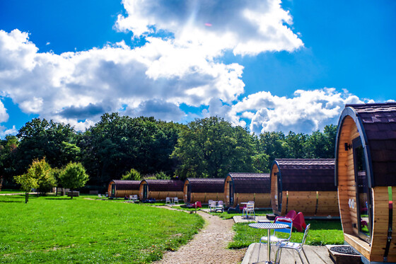 Domaine Joseph Lafarge - photo 7