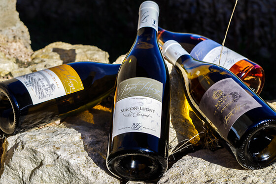 Domaine Joseph Lafarge - photo 17