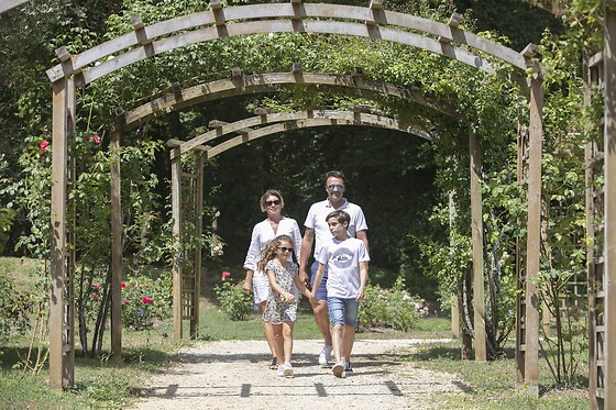 Domaine de Dienné - photo 11