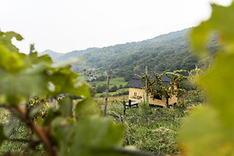 Podere Cavaga