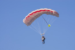 Paradrenalin'