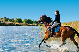 Ferme Equestre Des Ribières