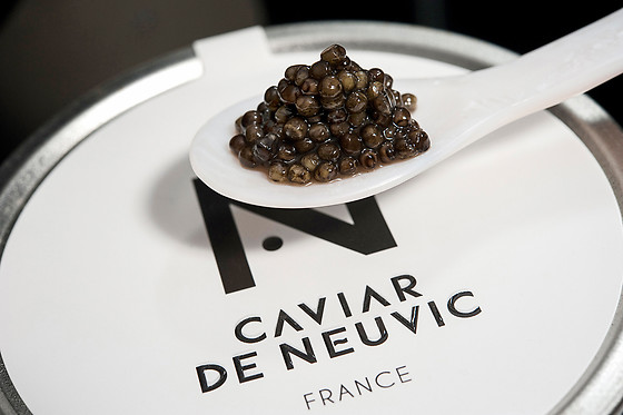 CAVIAR DE NEUVIC - photo 1
