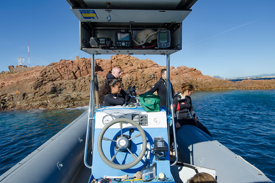 Aquatic Rando - photo 23