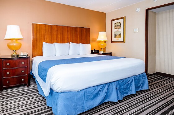 Online Booking EPS - photo 1