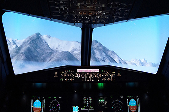 FLIGHT in PARIS - photo 2