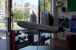 FLIGHT in PARIS