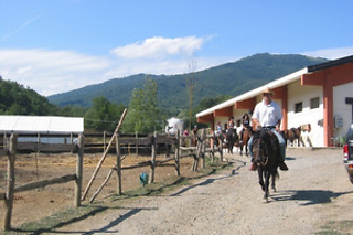 Soggiorno in famiglia presso l'Agriturismo Carovane in provincia di Parma