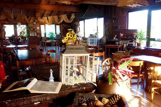 Trattoria Solari - photo 0