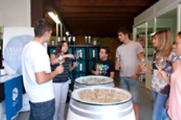 CELLERS BARONIA DEL MONTSANT