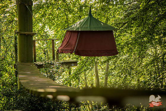 Woody park - photo 9