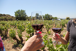 CELLER CARLES ANDREU