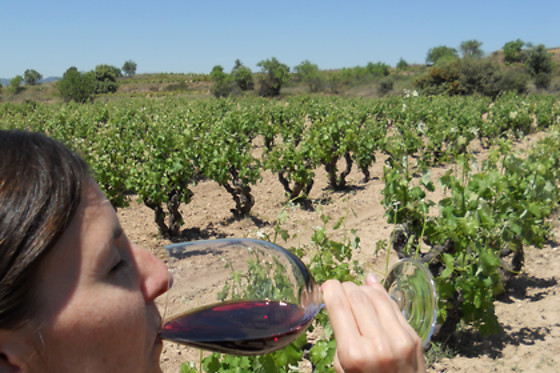 CELLER CARLES ANDREU - photo 9