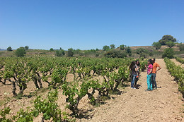 CELLER CARLES ANDREU