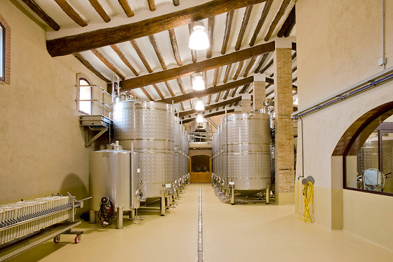 CELLER CARLES ANDREU - photo 5