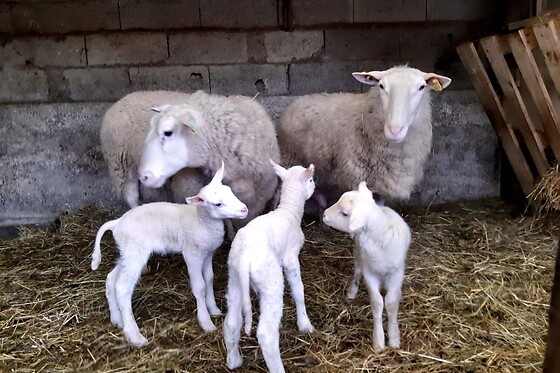 Terroir de familles - photo 1