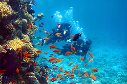 SA CALETA TENERIFE