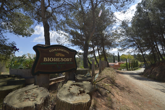 COMARQUINAL BIORESORT PENEDES - photo 14