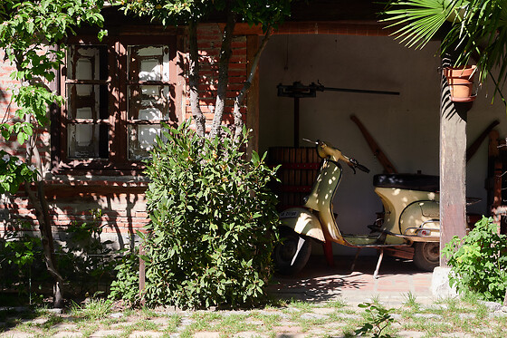 LAS DOS ANTIGUAS - photo 5