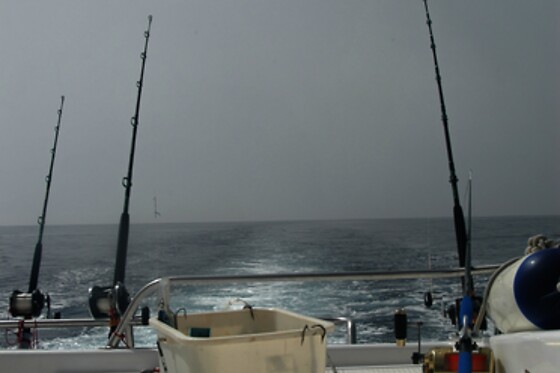 CAP A MAR - photo 7