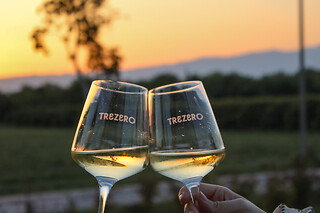 Visita alla cantina con degustazione guidata presso Cantina TreZero in provincia di Pordenone