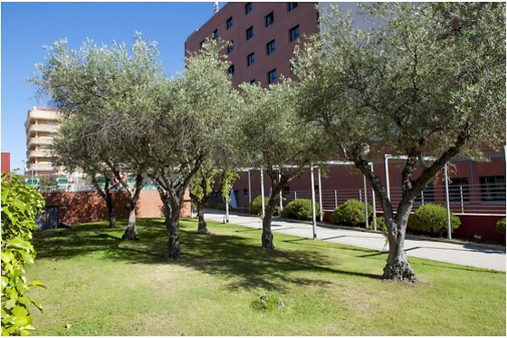 Online Booking EPS - photo 3