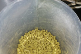 Brasserie de Jandrain-Jandrenouille