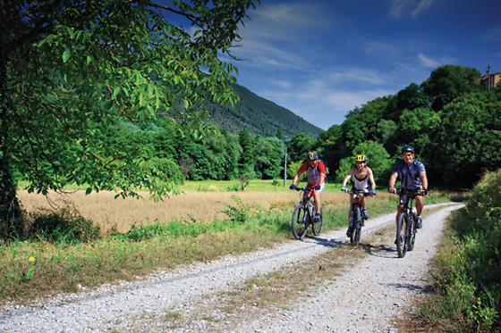 Tour in mountain bike per una persona con Umbria in Mountain Bike a Arrone in provincia di Terni