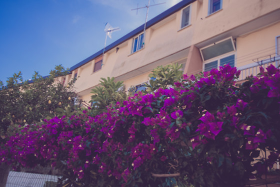 Cassiodoro Rooms - photo 3