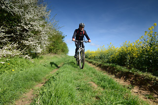 Noleggio di e-Mtb presso l'Albergo Diana a Boario Terme in provincia di Brescia