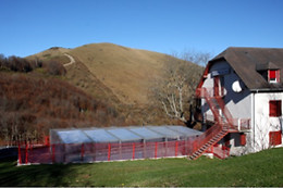 COL D'OSQUICH